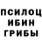 Псилоцибиновые грибы мухоморы Dmitry Sawrutsky