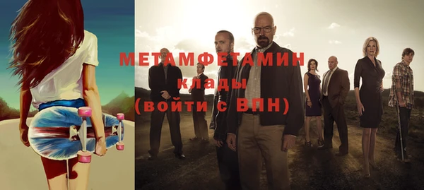 прущие грибы Верхний Тагил