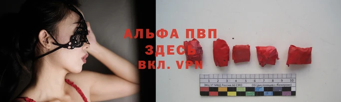 молекула духа Вязники